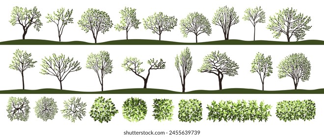 Tree silhouettes for the landscape design. Trees top and frontal view for architectural floor plans. Entourage design. Vector illustration.