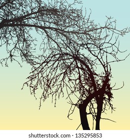 Tree silhouettes on sky background. Vector