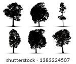 tree silhouettes on white background. Vector illustration.