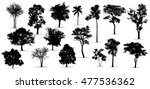 tree silhouettes on white background. Vector illustration.