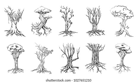tree silhouettes on white background. Hand-drawn sketch illustration
