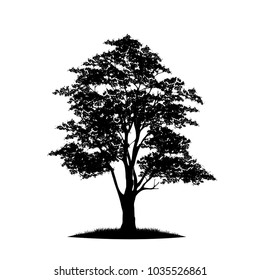 tree silhouettes on white background. Vector illustration.