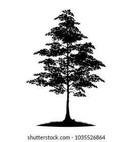 tree silhouettes on white background. Vector illustration.