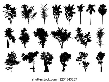 tree silhouettes on white background ,nature,vector illustration