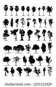 tree silhouettes on white background ,nature,vector illustration