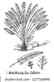 tree silhouettes on white background. Hand-drawn sketch illustration