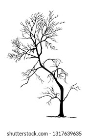 tree silhouettes on white background. Vector illustration.