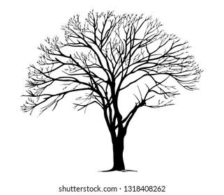 tree silhouettes on white background. Vector illustration.