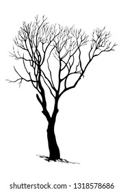 tree silhouettes on white background. Vector illustration.