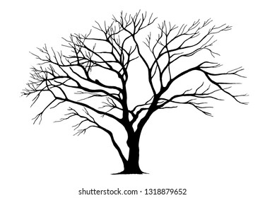 tree silhouettes on white background. Vector illustration.