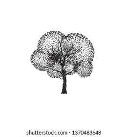 Tree silhouettes on white background. Vector illustration.