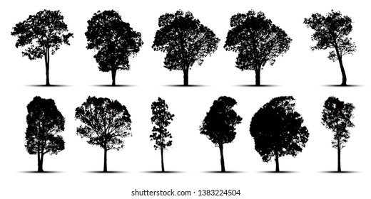 siluetas de árbol sobre fondo blanco. Ilustración vectorial.