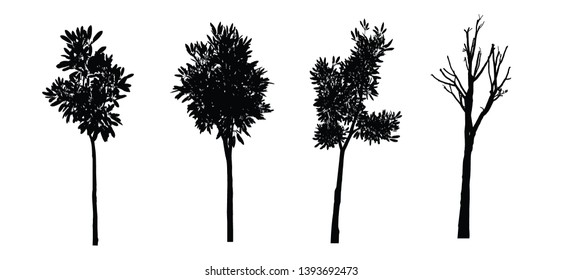 Tree silhouettes on white background. Vector illustration. 