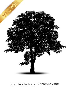 tree silhouettes on white background. Vector illustration.