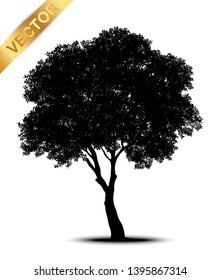 tree silhouettes on white background. Vector illustration.