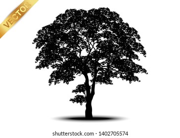 tree silhouettes on white background. Vector illustration.