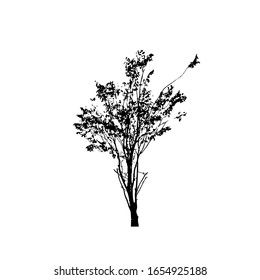 Siluetas de árbol sobre fondo blanco. Diseño de ilustración vectorial.