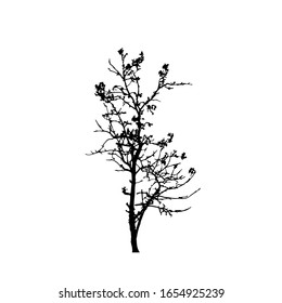 Siluetas de árbol sobre fondo blanco. Diseño de ilustración vectorial.