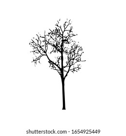 Tree silhouettes on white background. Vector illustration design.
