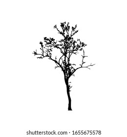 Tree silhouettes on white background. Vector illustration design.