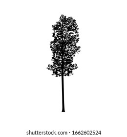 Siluetas de árbol sobre fondo blanco.  Diseño de ilustración vectorial.
