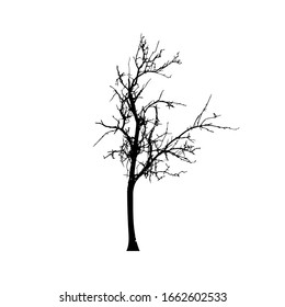 Siluetas de árbol sobre fondo blanco.  Diseño de ilustración vectorial.