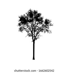 Baum-Silhouetten auf weißem Hintergrund. Vektorillustration-Illustrationsdesign.