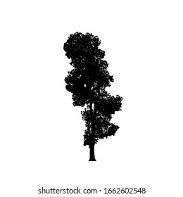 Tree silhouettes on white background. Vector illustration design.