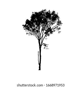 Tree silhouettes on white background. Vector illustration design.