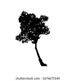 Tree silhouettes on white background. Vector illustration design.