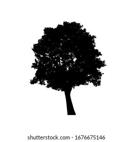Siluetas de árbol sobre fondo blanco. Diseño de ilustración vectorial.