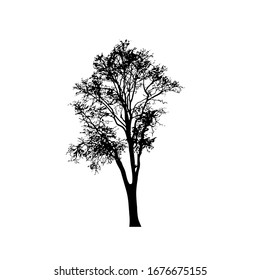 Tree silhouettes on white background. Vector illustration design.