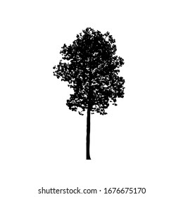 Tree silhouettes on white background. Vector illustration design.