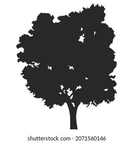 Tree silhouettes on white background. Vector illustration.
