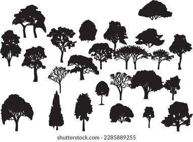 tree silhouettes on white background. Vector illustration.