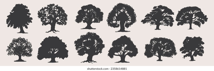 siluetas de árbol sobre fondo blanco. Ilustración vectorial.