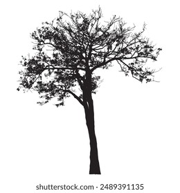 Tree silhouettes on white background. Vector illustration design.
 for brush 