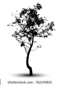 tree silhouettes on white background.