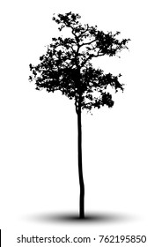 tree silhouettes on white background.