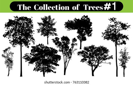  tree silhouettes on white background. Vector illustration.