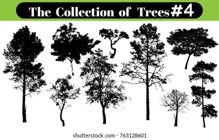 tree silhouettes on white background. Vector illustration.