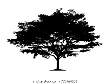 tree silhouettes on white background. Vector illustration.