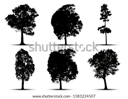 tree silhouettes on white background. Vector illustration.