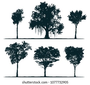 Tree silhouettes - pau brasil tree, banyan tree, rosewood tree, acacia. Set of different south trees. 