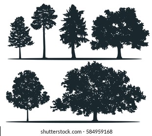 Tree silhouettes - pine longleaf pine, red cedar, sugar maple, green oak. Set of different trees.