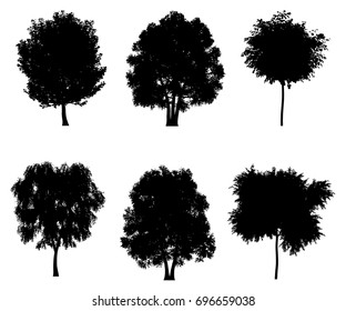 Tree silhouettes set for architectural compositions with backgrounds. Vector illustration