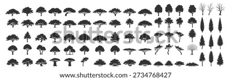 Tree silhouettes set. Outline line drawing forest trees vector illustration isolated on transparent background