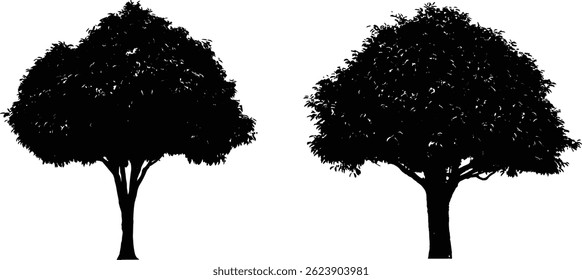 Tree Silhouettes Set vector, Isolated on White Background
