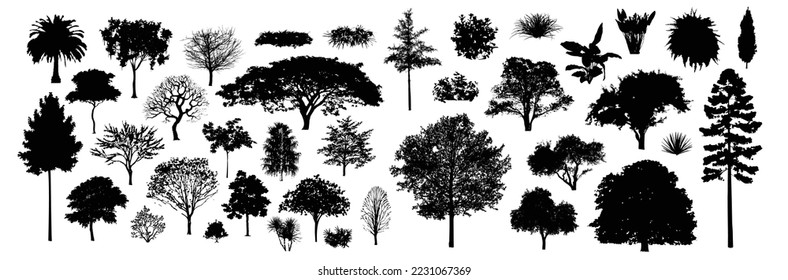 Tree silhouettes, Side view black, set of graphics trees elements outline symbol for architecture and landscape design drawing. Vector illustration in stroke fill . Tropical, oak, maple, poplar