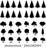 tree silhouettes
various deciduous trees silhouettes on the white background